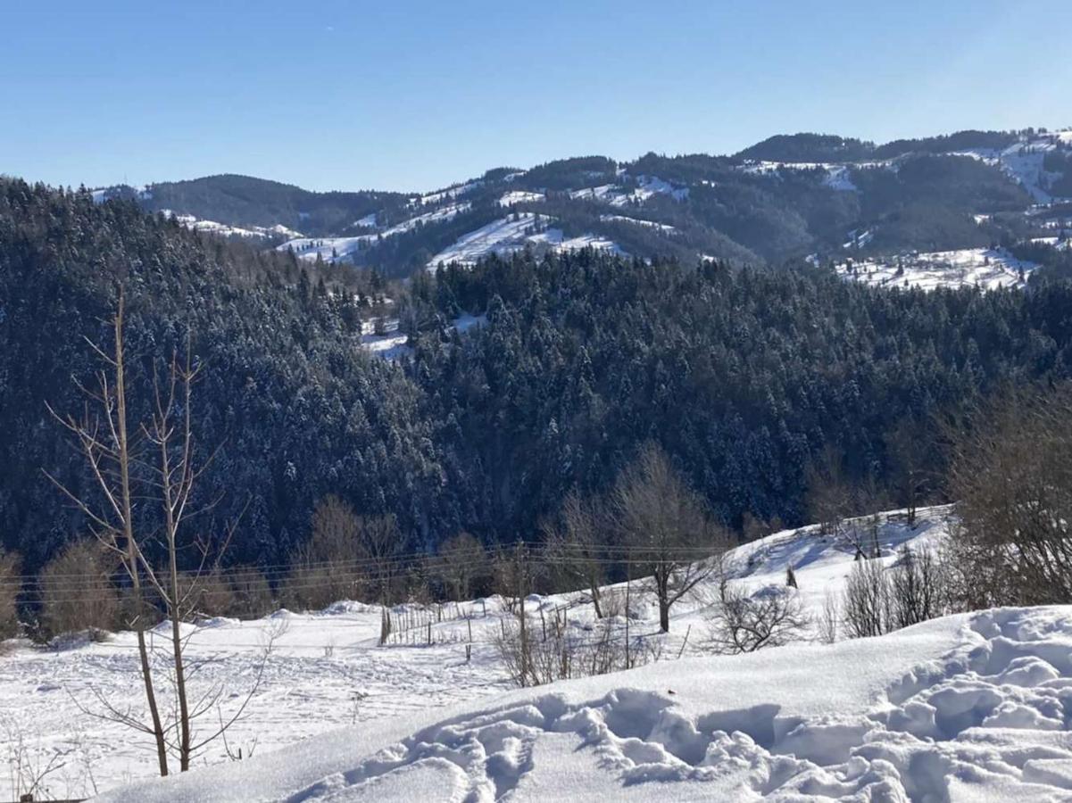Pensiunea Amalia Gîrda de Sus Extérieur photo