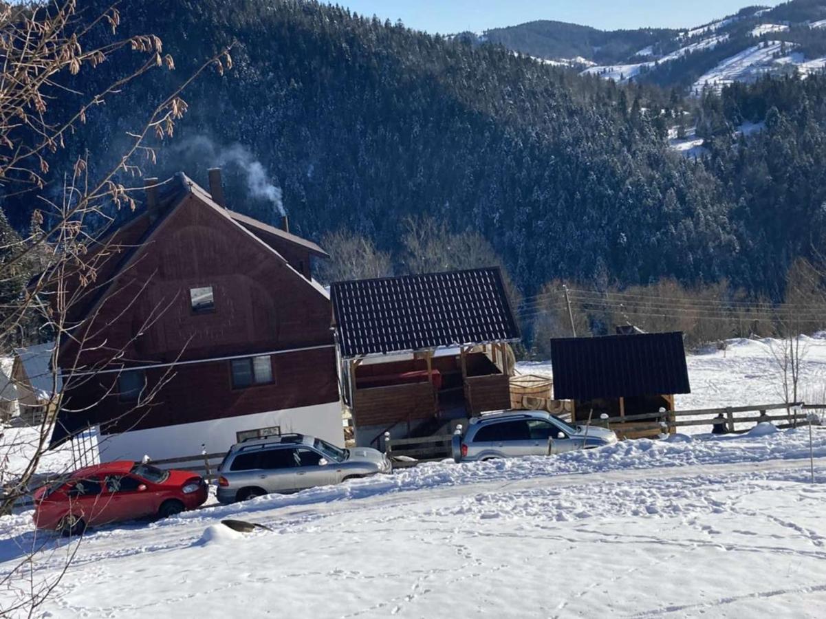 Pensiunea Amalia Gîrda de Sus Extérieur photo